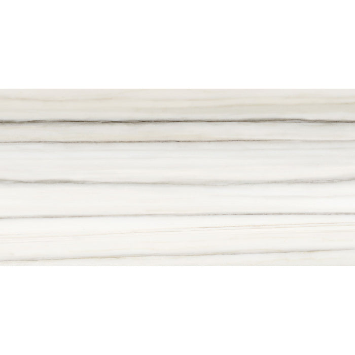 Anatolia Mayfair 12 in. x 24 in. HD Rectified Porcelain Tile - Zebrino (Polished)