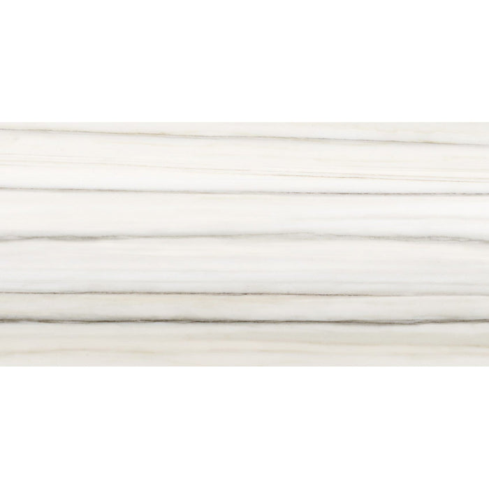 Anatolia Mayfair 12 in. x 24 in. HD Rectified Porcelain Tile - Zebrino (Matte)