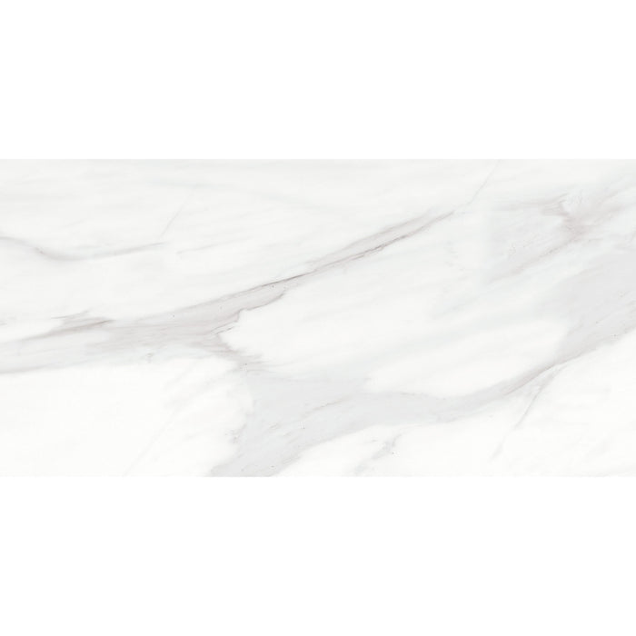 Anatolia Mayfair 16 in. x 32 in. HD Rectified Porcelain Tile - Volakas Grigio (Matte)