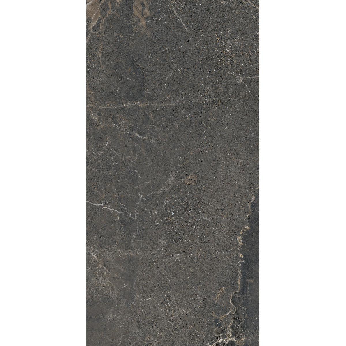 Arizona Tile - Anthea 24&quot; x 48&quot; Rectified Porcelain Tile - Dark