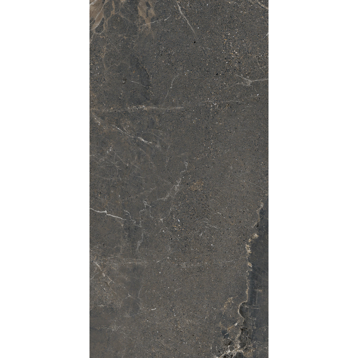 Arizona Tile - Anthea 24
