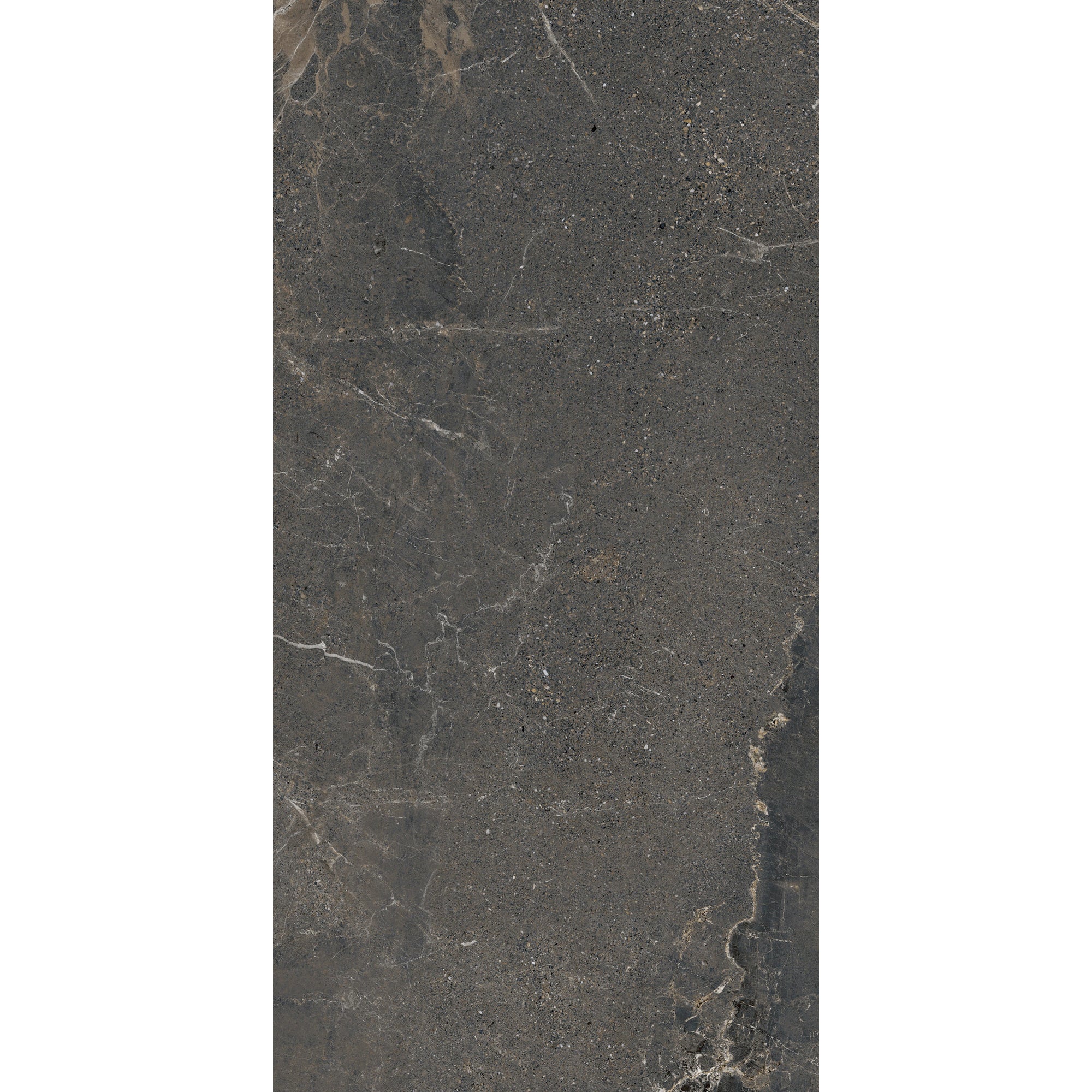 Arizona Tile - Anthea 24" x 48" Rectified Porcelain Tile - Dark