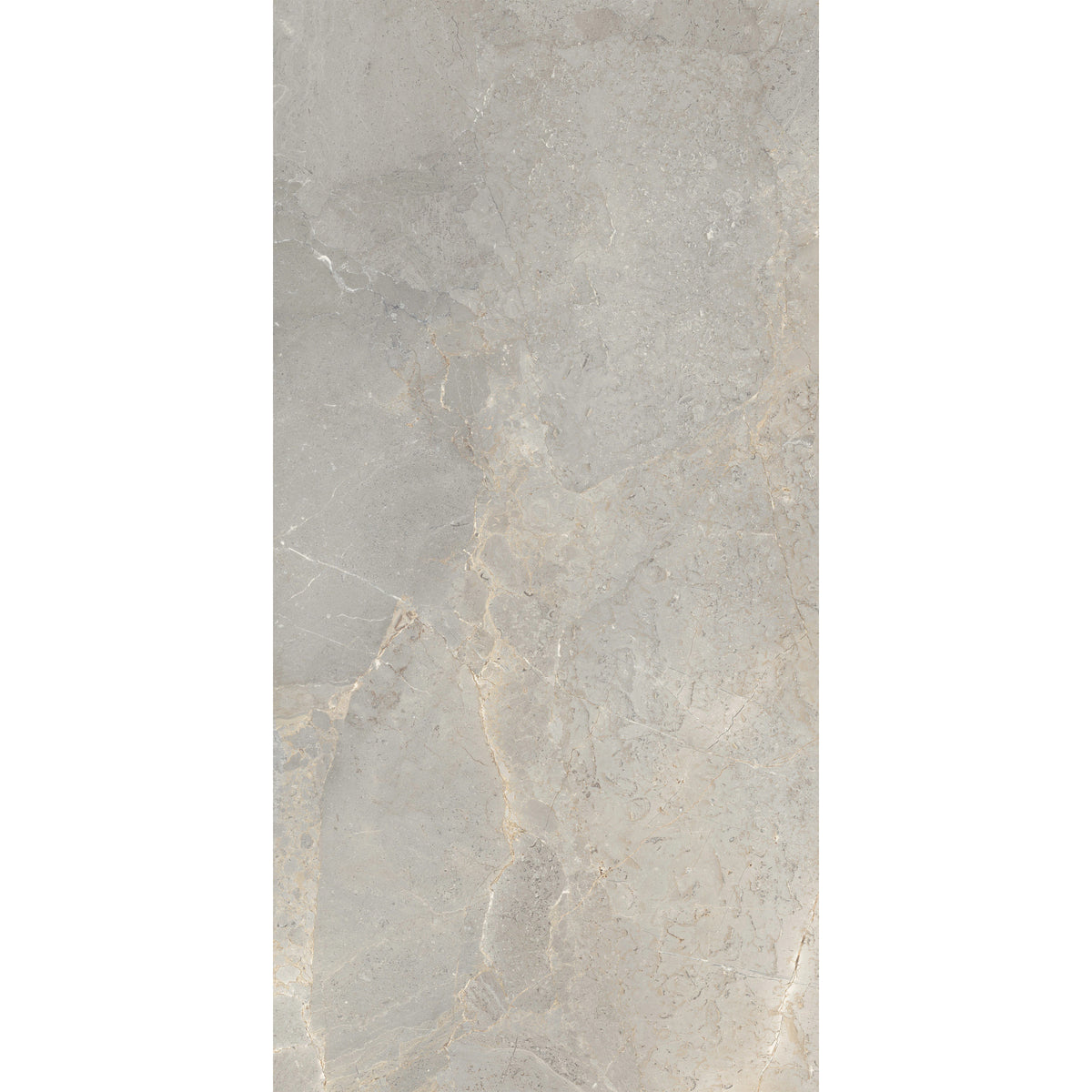 Arizona Tile - Anthea 24&quot; x 48&quot; Rectified Porcelain Tile - Earth