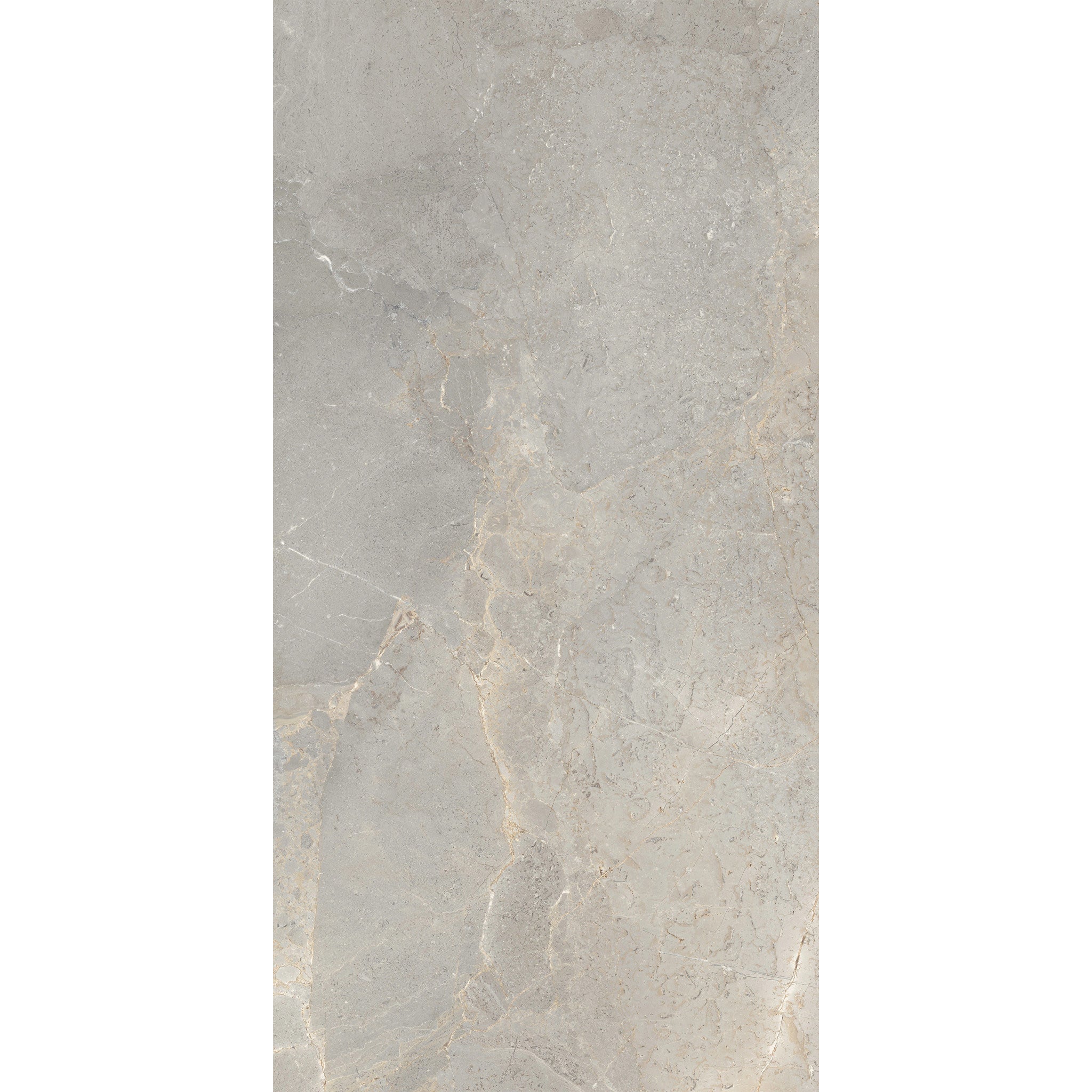 Arizona Tile Anthea 24" x 48" Rectified Porcelain Tile Earth Floorzz