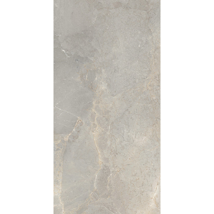 Arizona Tile - Anthea 24" x 48" Rectified Porcelain Tile - Earth