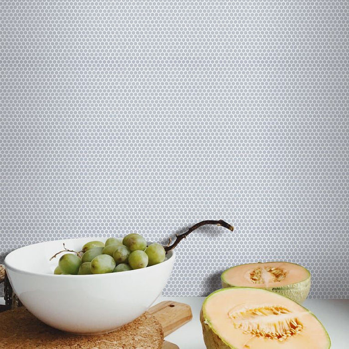 Arizona Tile - Geo 2 Hex Mesh Series - Frost 12" x 12" Rectified Glass Tile Wall Install