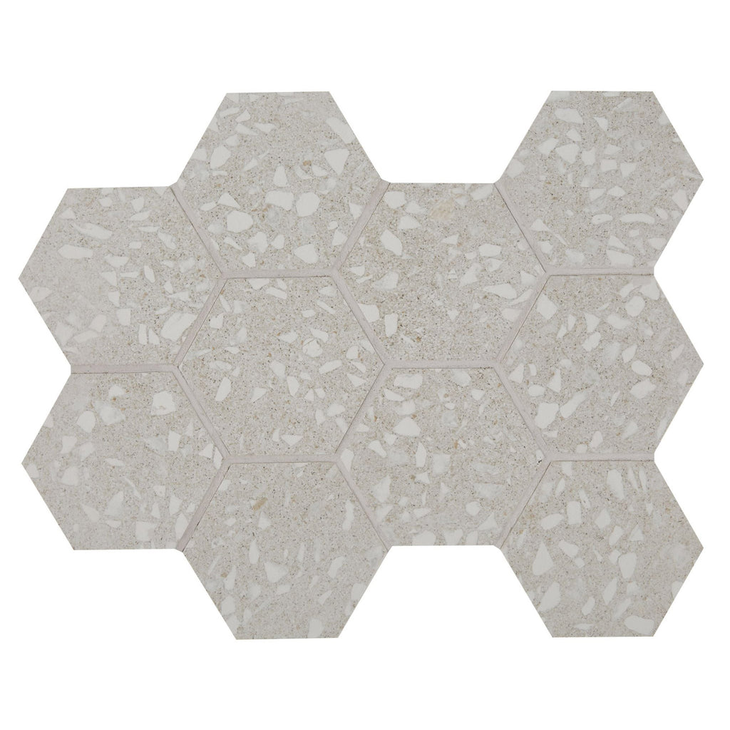 Arizona Tile - Terrazzo 4