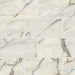 Bedrosians - Classic 2.0 12" x 24" Floor & Wall Tile - Calacatta Oro Polished