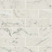 Bedrosians - Classic 2.0 2" x 6" Floor & Wall Mosaic - Bianco Carrara Matte