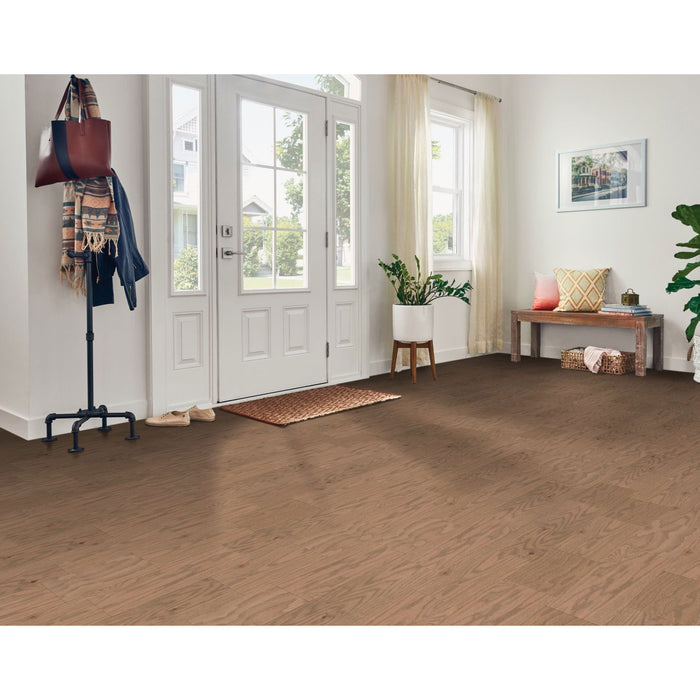 Bruce - American Honor Collection - American Natural Room Scene