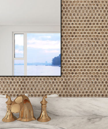 Maniscalco - Chameleon Series - 1" x 1" Porcelain Hex Mosaic - Rustic Sunset wall installation