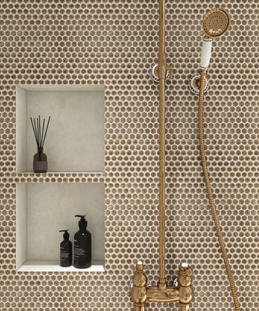 Maniscalco - Chameleon Series - 1" x 1" Porcelain Penny Round Mosaic - Rustic Sunset wall installation