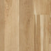 COREtec Plus HD 7 in. x 48 in. Planks - Blended Praline