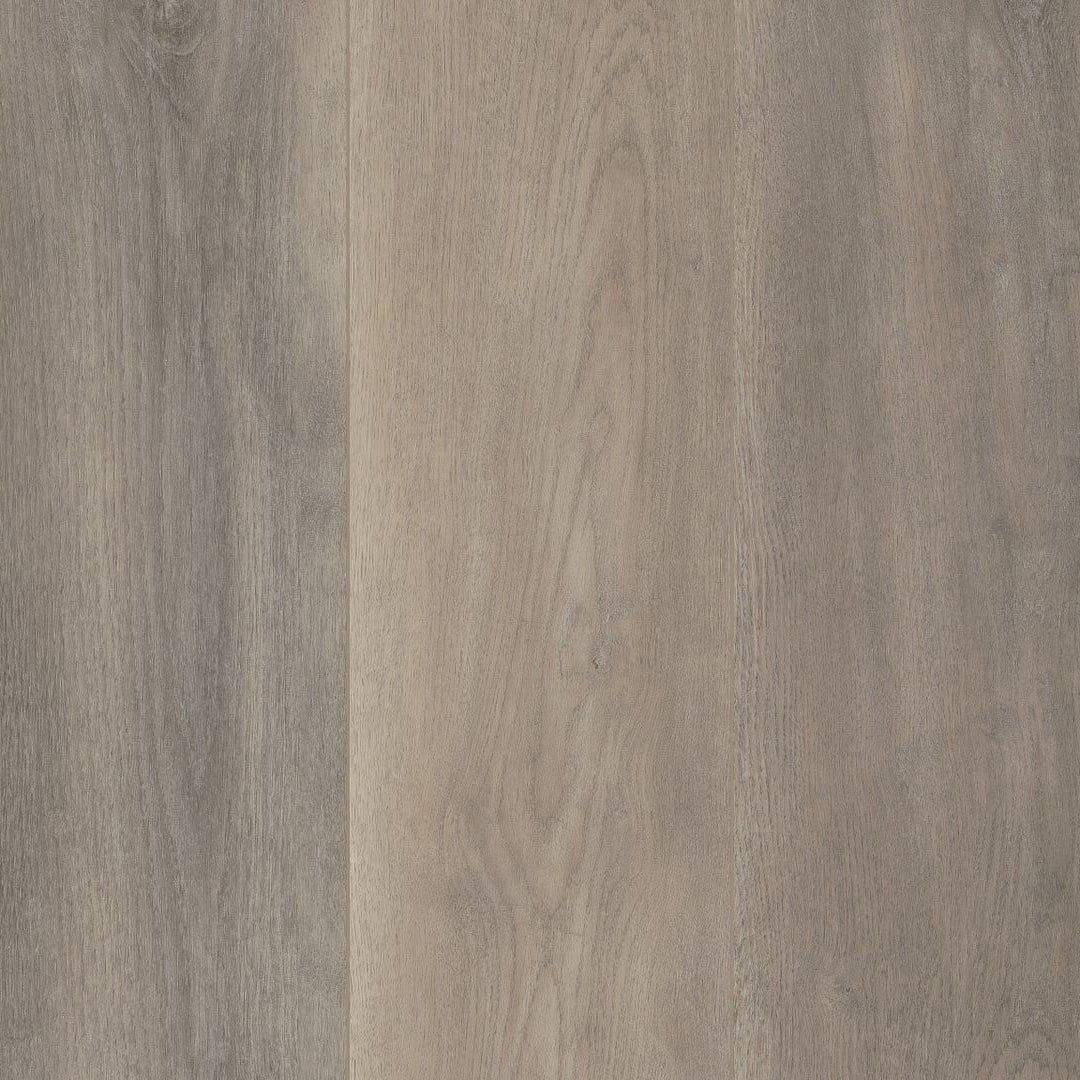 COREtec Plus Premium 9" - Leisure Oak