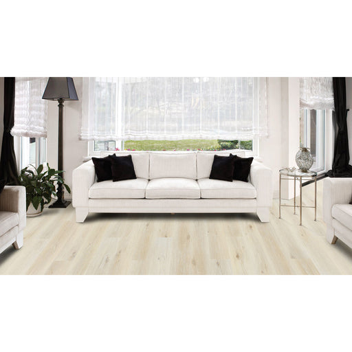 白磁　瑚峰 COREtec Pro Plus - 7