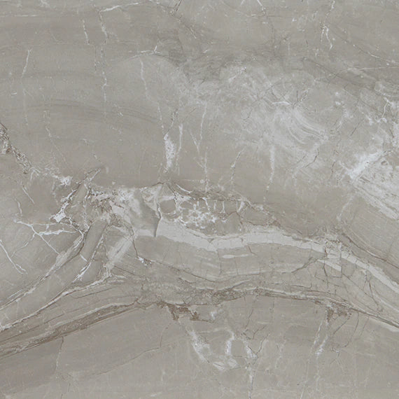 Daltile - Famed 24 in. x 24 in. Colorbody Porcelain Tile - Fortune Polished
