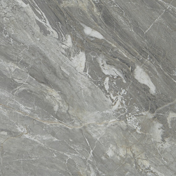 Daltile - Famed 24 in. x 24 in. Colorbody Porcelain Tile - Glamour Polished