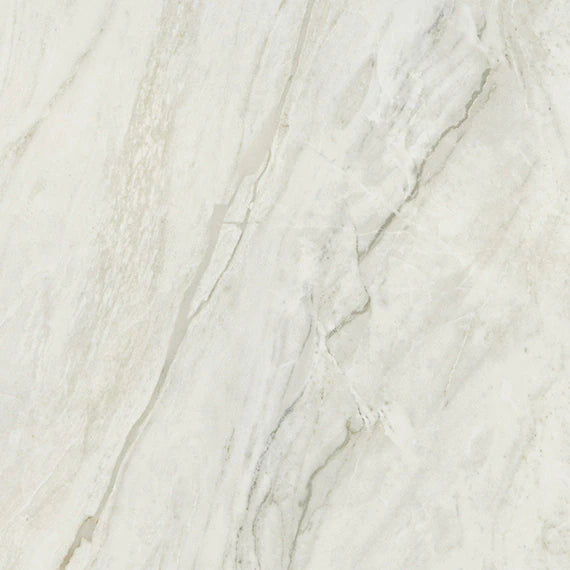 Daltile - Famed 24 in. x 24 in. Colorbody Porcelain Tile - Iconic Matte