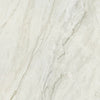 See Daltile - Famed 24 in. x 24 in. Colorbody Porcelain Tile - Iconic Polished