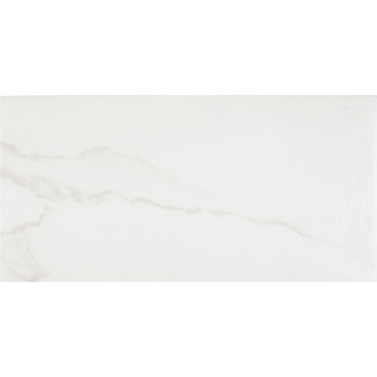 Daltile - Artsy - 12 in. x 24 in. Glazed Porcelain Floor Tile - Studio Carrara