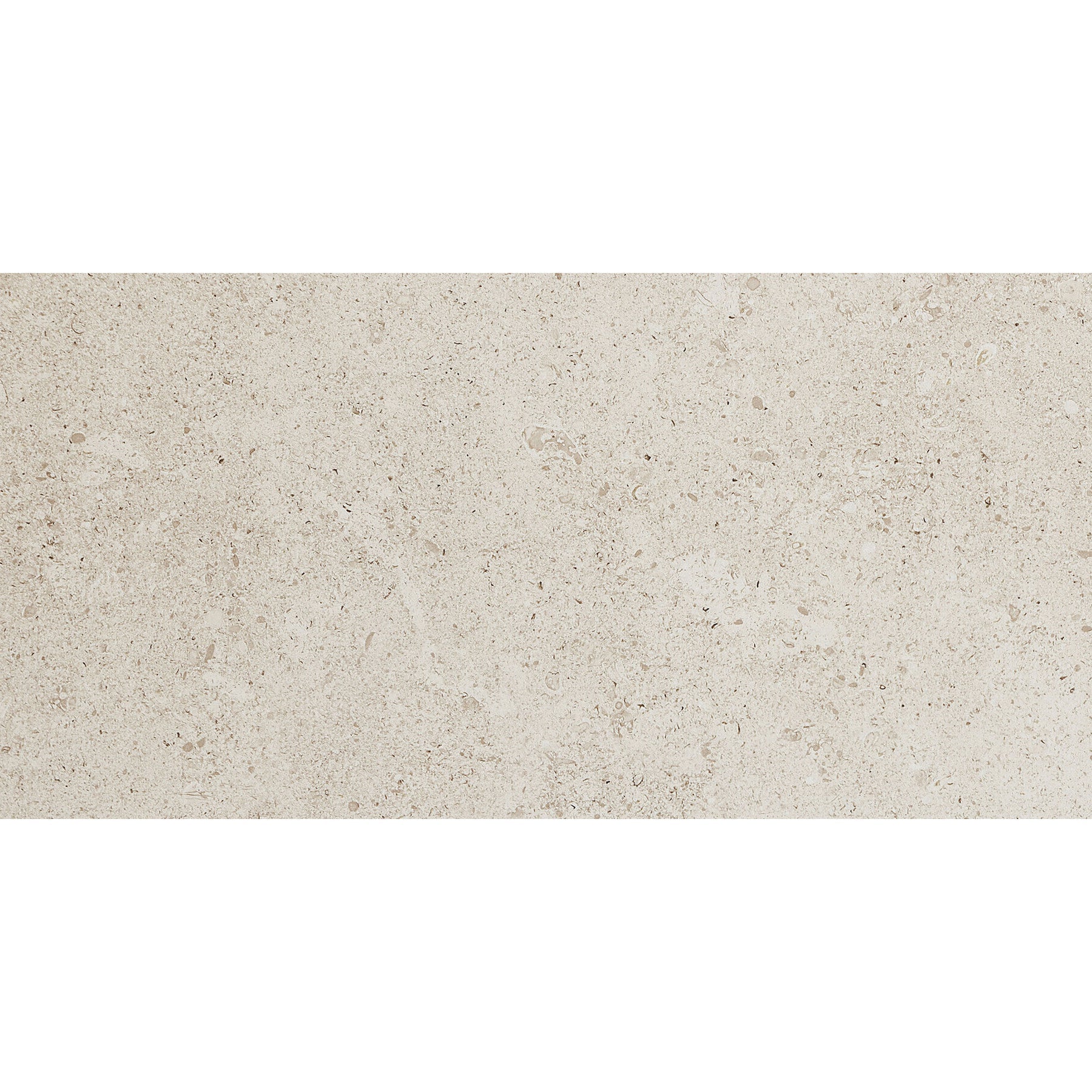 Daltile - Dignitary 12 in. x 24 in. Textured Porcelain Tile - Luminary White