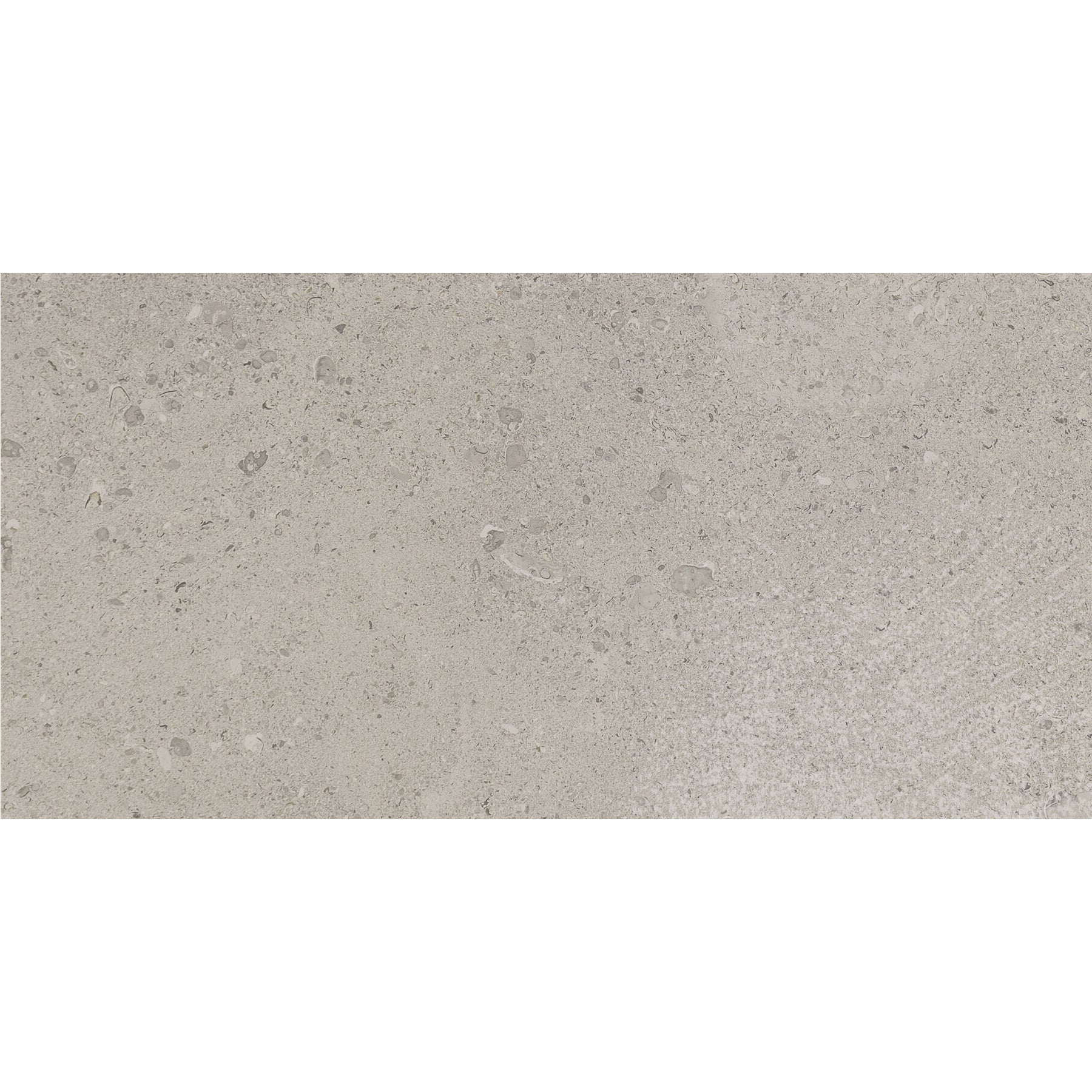 Daltile - Dignitary 12 in. x 24 in. Light Polished Porcelain Tile - Superior Taupe