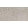 See Daltile - Dignitary 12 in. x 24 in. Light Polished Porcelain Tile - Superior Taupe