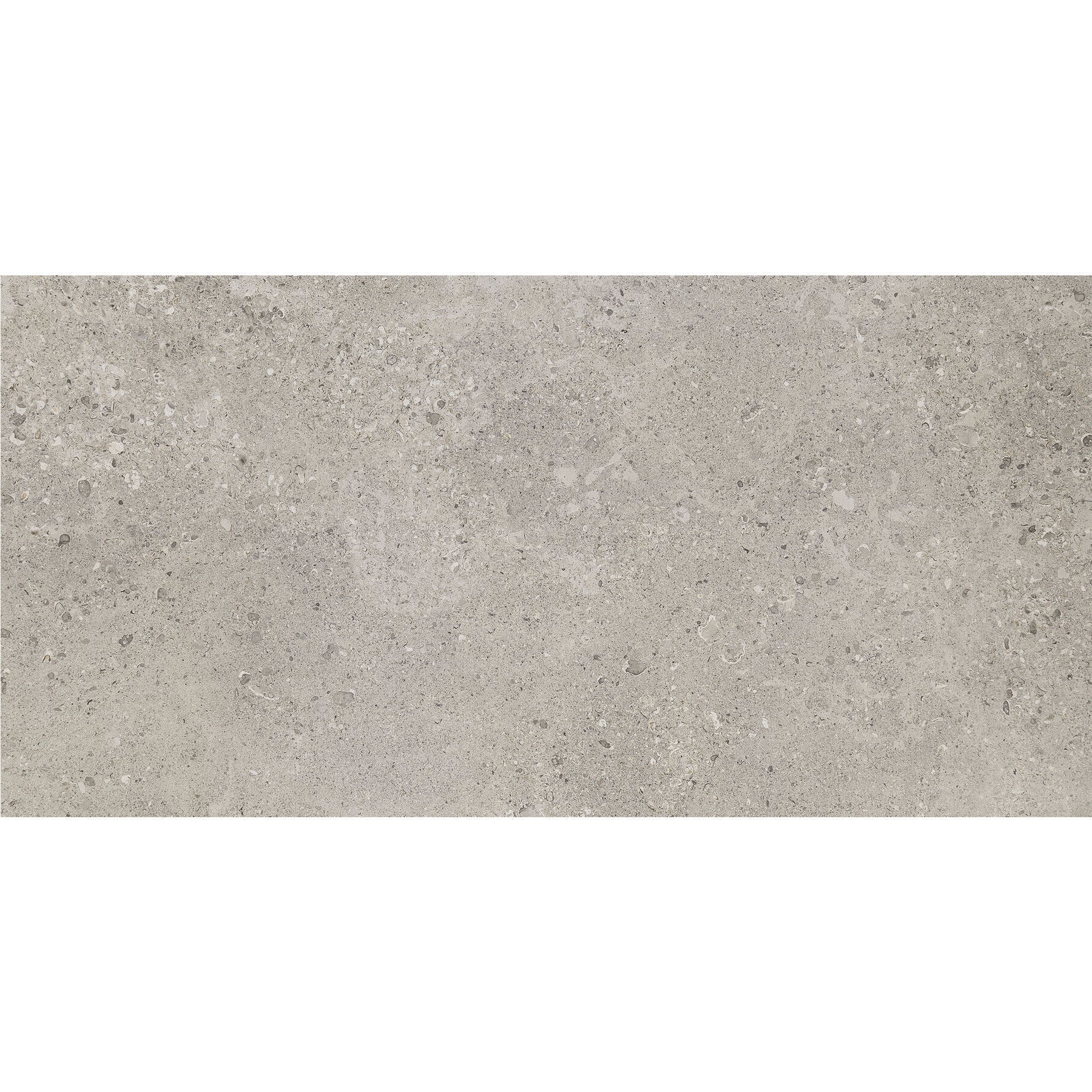 Daltile - Dignitary 12 in. x 24 in. Matte Porcelain Tile - Superior Taupe