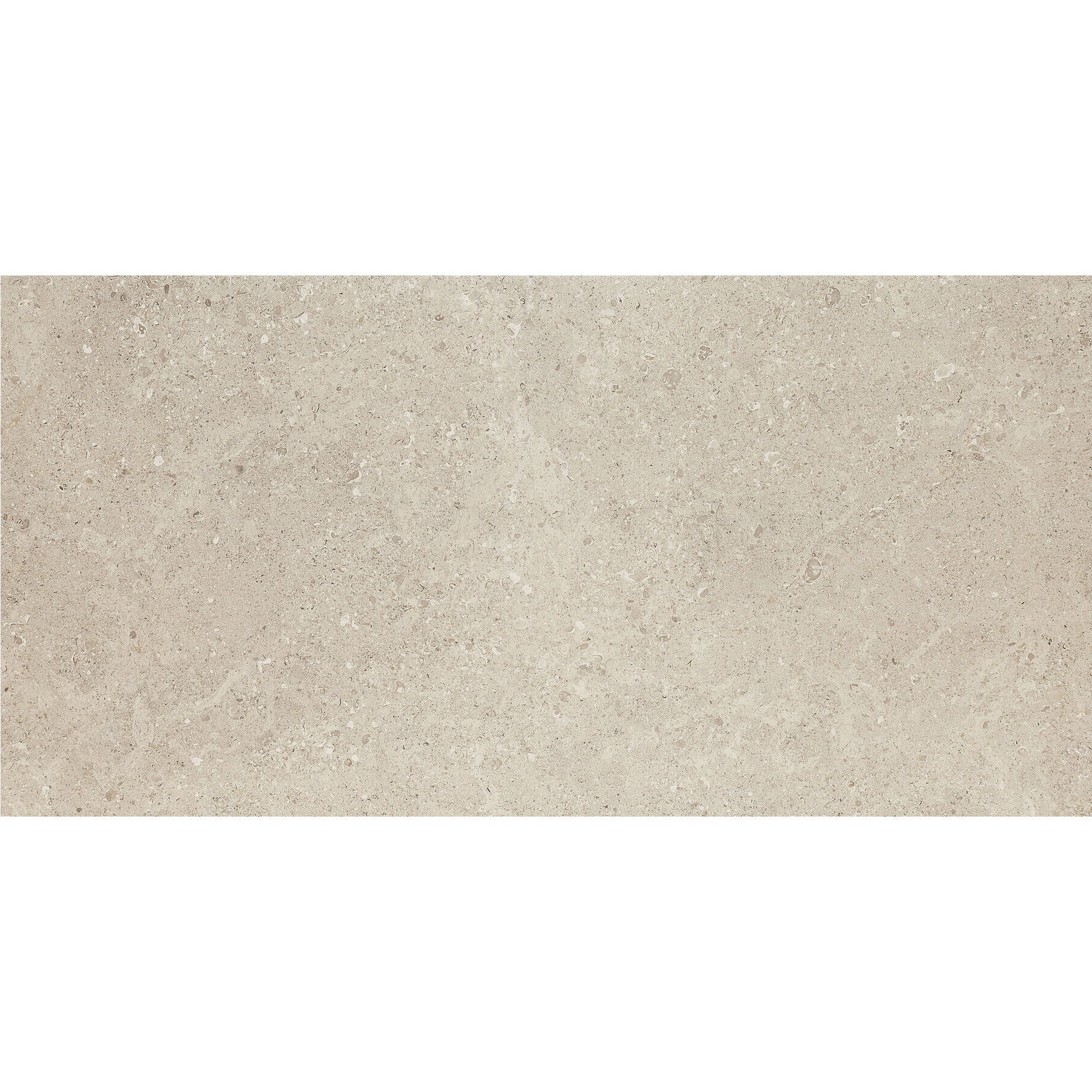 Daltile - Dignitary 12 in. x 24 in. Textured Porcelain Tile - Notable Beige