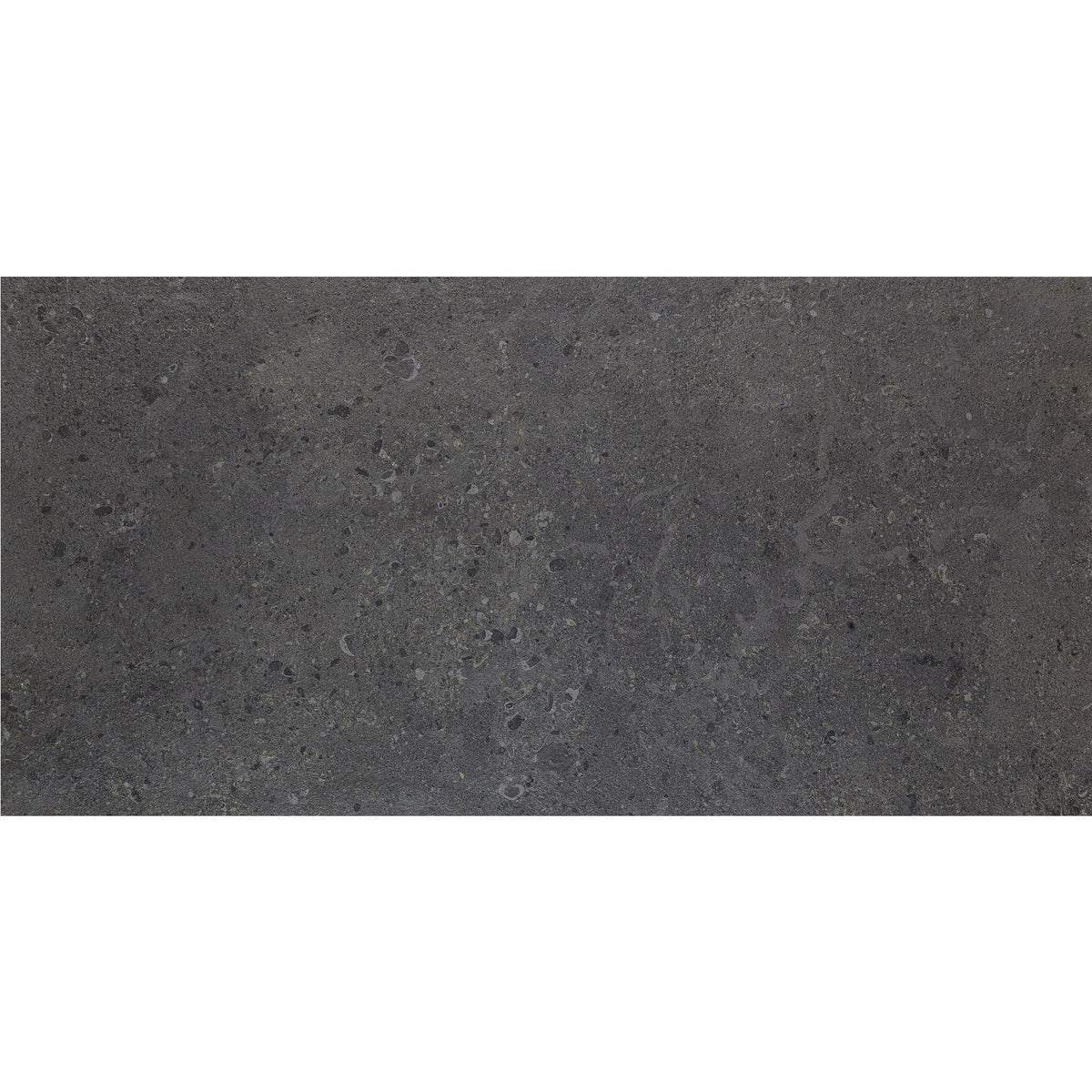 Daltile - Dignitary 12 in. x 24 in. Matte Porcelain Tile - Governor Black