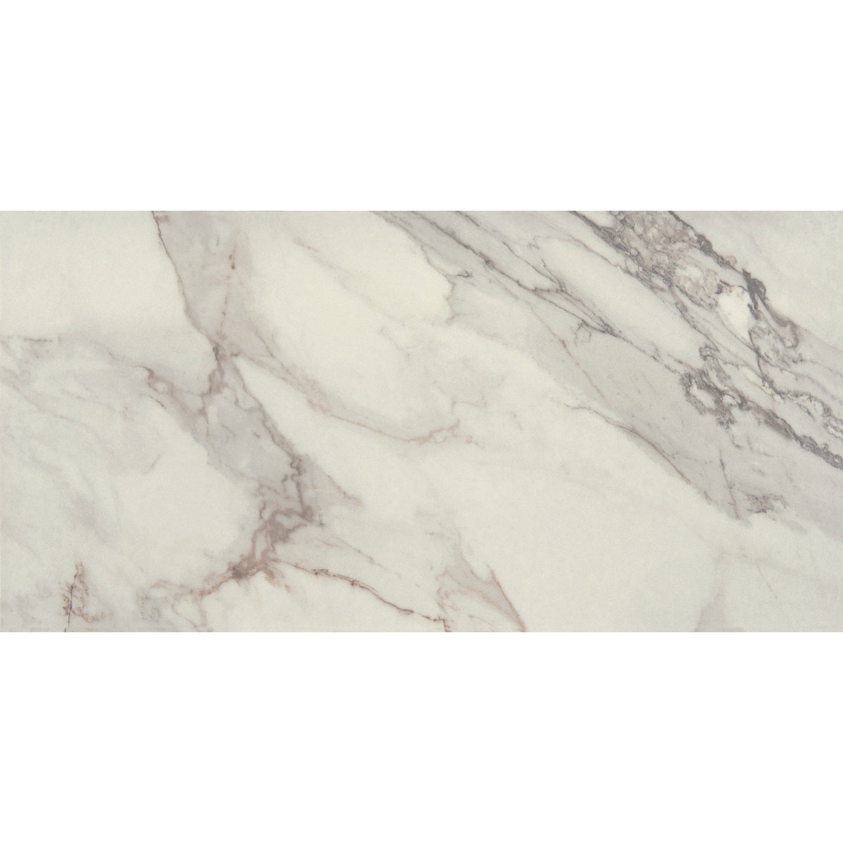 Daltile - Famed 12 in. x 24 in. Colorbody Porcelain Tile - Diamond Matte