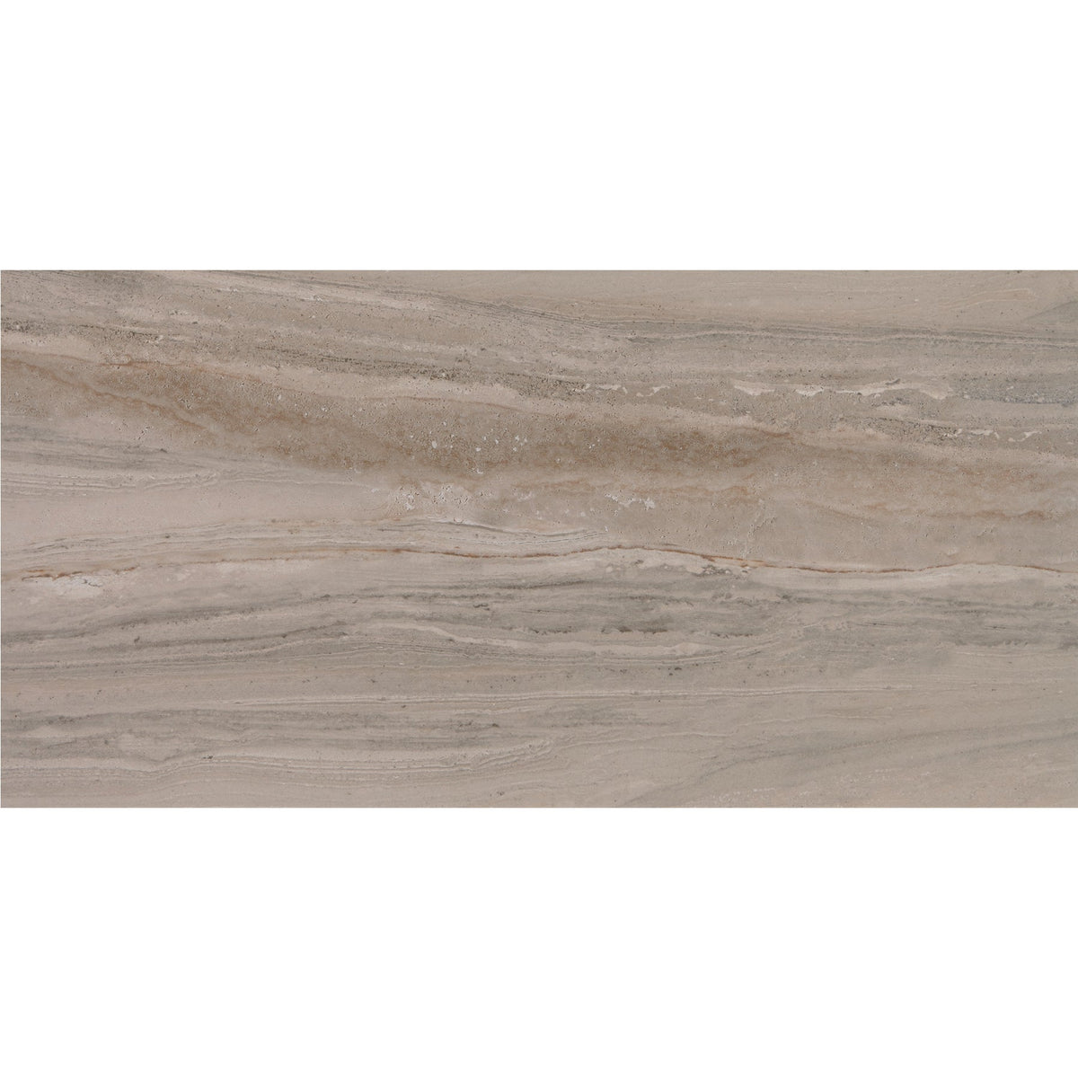 Daltile - Famed 12 in. x 24 in. Colorbody Porcelain Tile - Luxe Polished