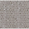 See Daltile - Famed 3/4 in. x 3/4 in. Glazed Ceramic Penny Round Mosaic - Fortune