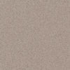 See Daltile - Harmonist 12 in. x 12 in. Colorbody Porcelain Tile - Bliss