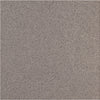 See Daltile - Harmonist 12 in. x 12 in. Colorbody Porcelain Tile - Composure