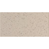 See Daltile - Harmonist 12 in. x 24 in. Colorbody Porcelain Tile - Poise