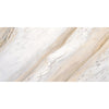 See Daltile - Pietra Divina 12 in. x 24 in. - Namaste Polished