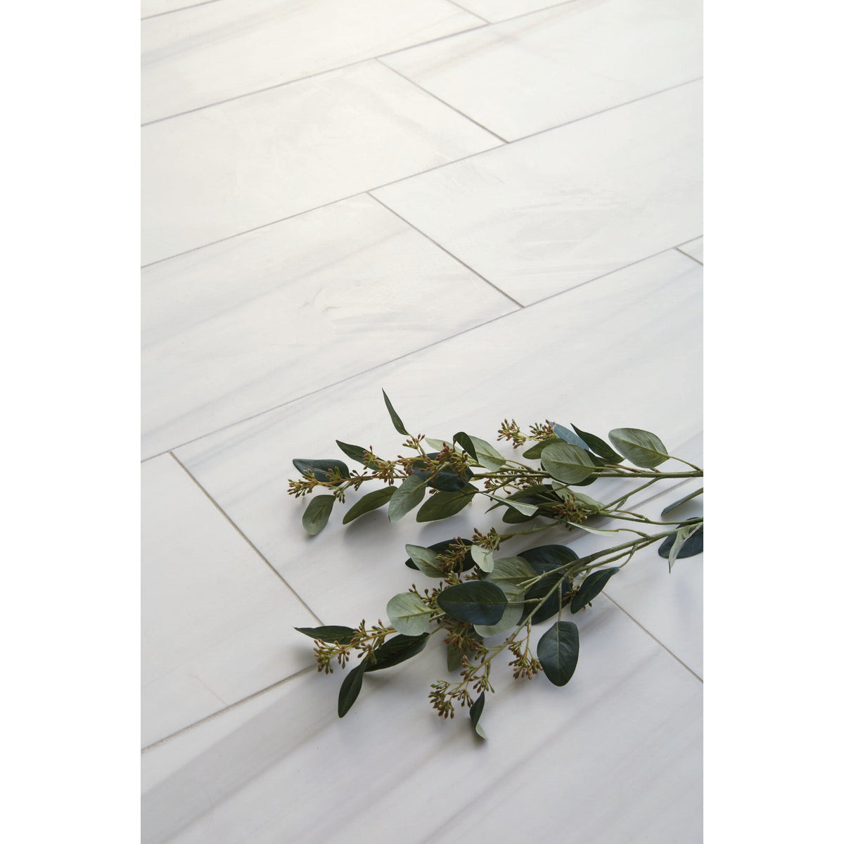 Daltile - Pietra Divina 12 in. x 24 in. - Calacatta Dolomiti Honed Close View