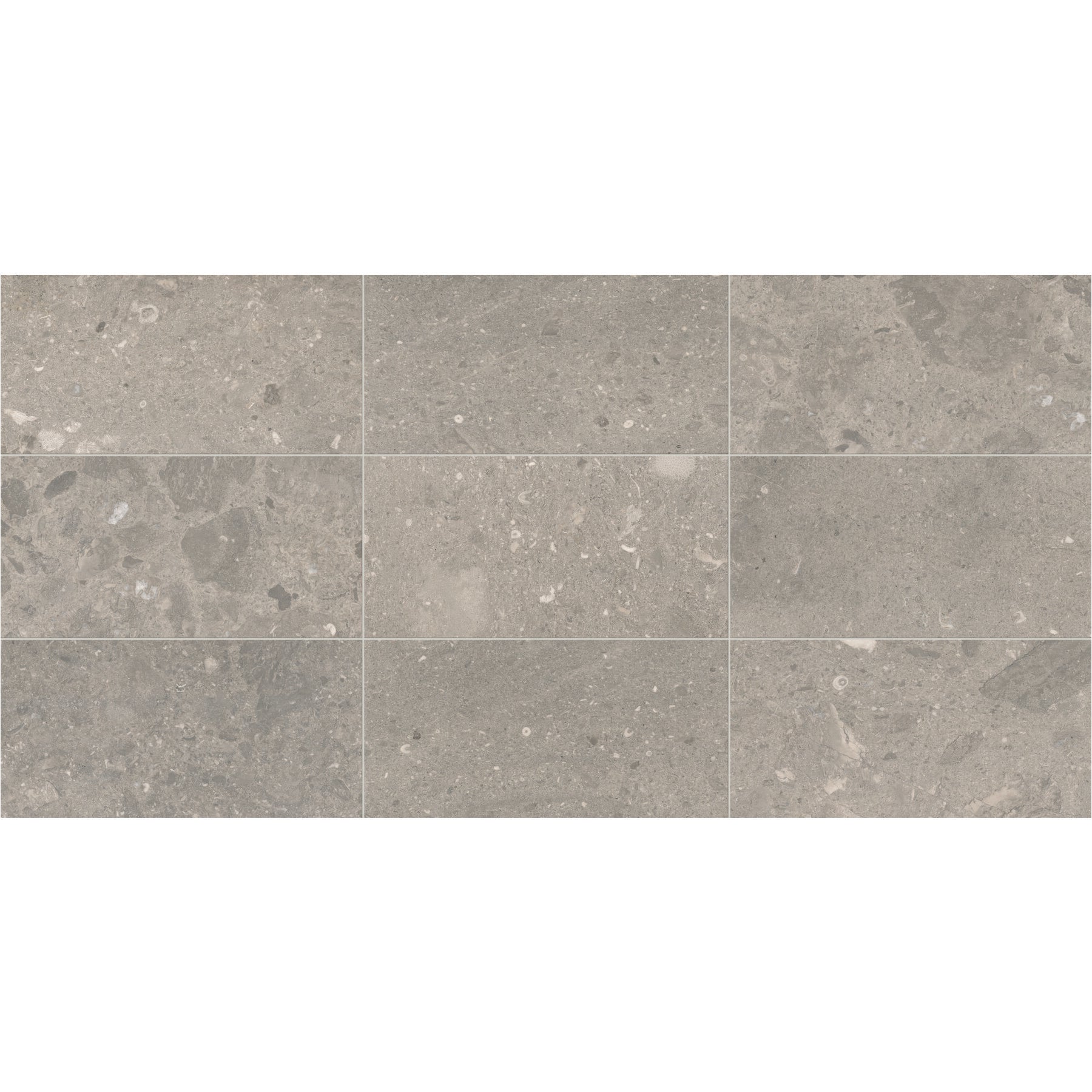 Daltile - Center City - 4 in. x 12 in. Natural Stone - Arch Grey Polished