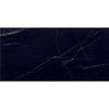 See Daltile - Pietra Divina 12 in. x 24 in. - Nero Marquina Polished