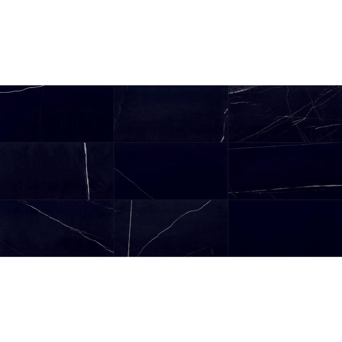 Daltile - Pietra Divina 12 in. x 24 in. - Nero Marquina Polished Variation View