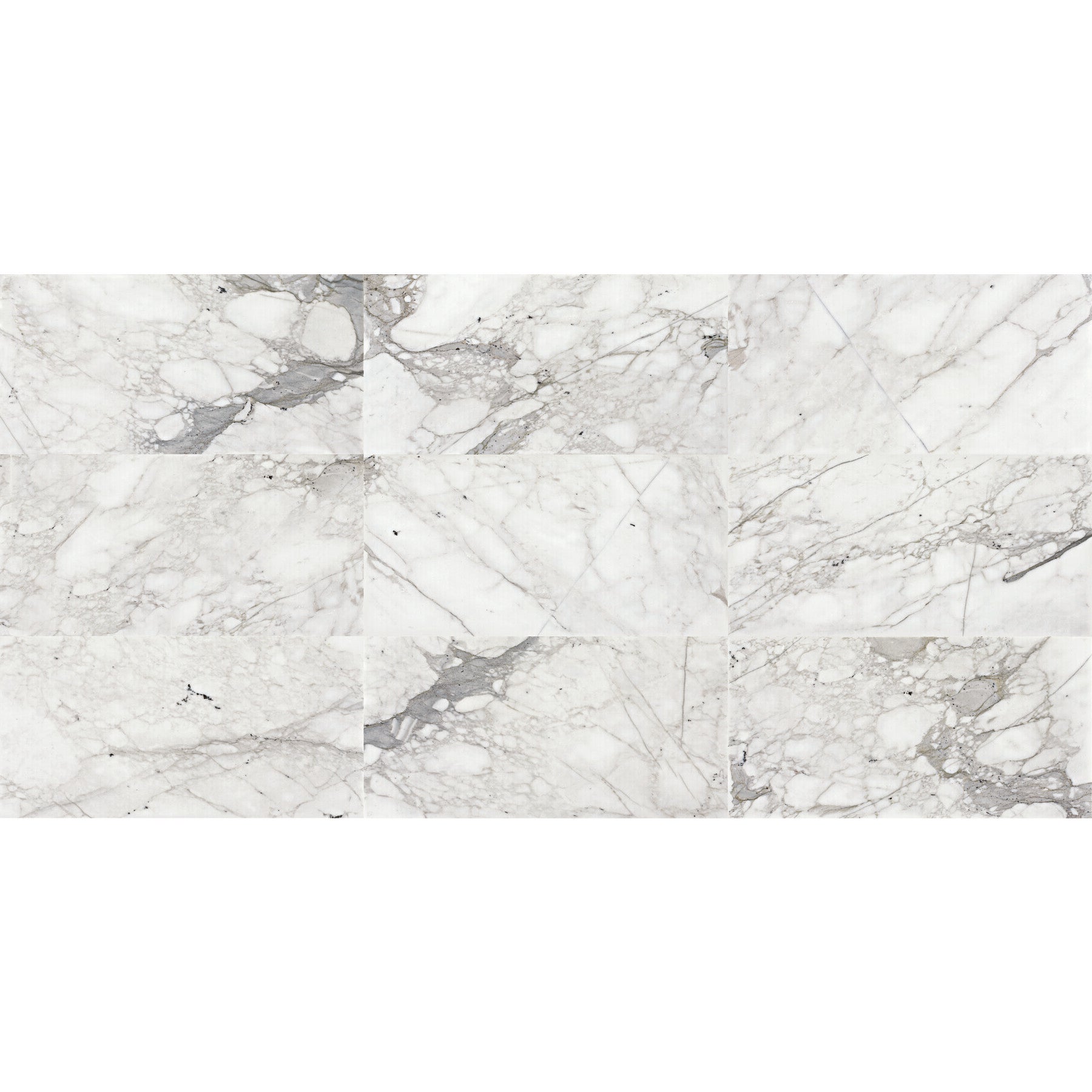 Daltile - Venetian Calacatta 12 in. x 24 in. - Honed