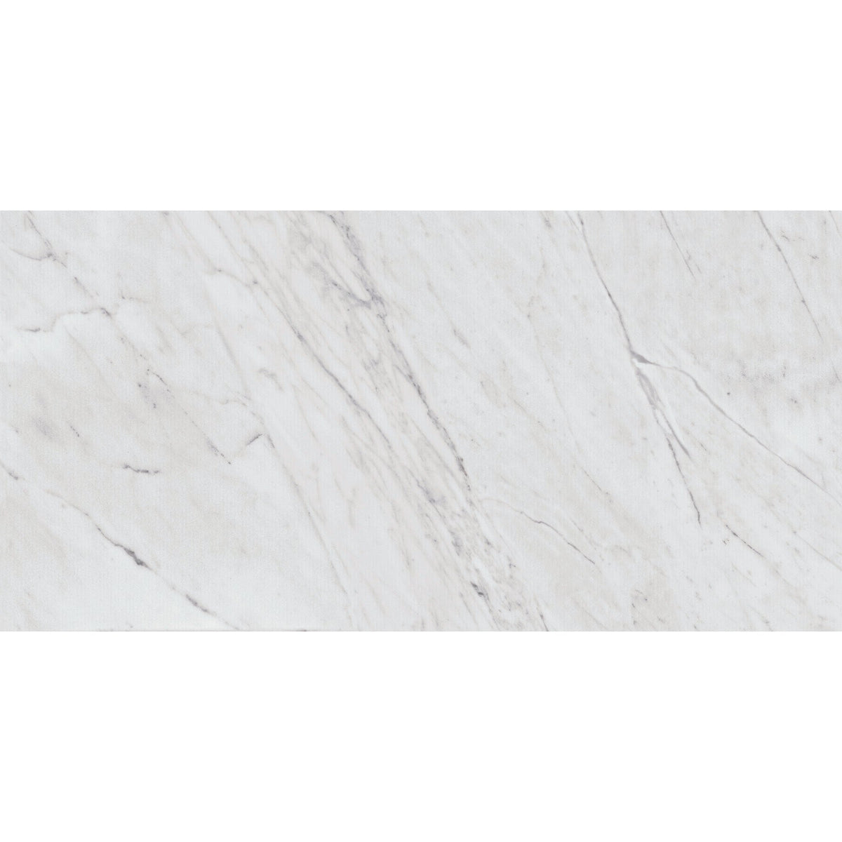 Daltile Marble Attache Lavish 24 in. x 48 in. Colorbody Porcelain Tile - Matte Diamond Carrara