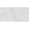 See Daltile Marble Attache Lavish 12 in. x 24 in. Colorbody Porcelain Tile - Matte Diamond Carrara
