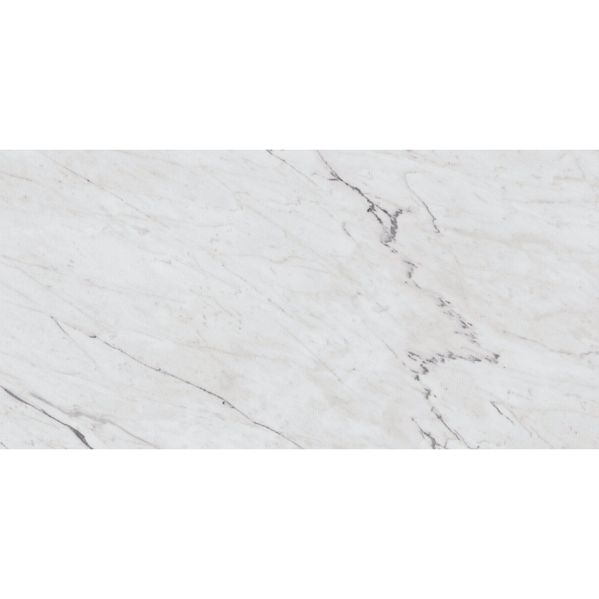 Daltile Marble Attache Lavish 12 in. x 24 in. Colorbody Porcelain Tile - Polished Diamond Carrara