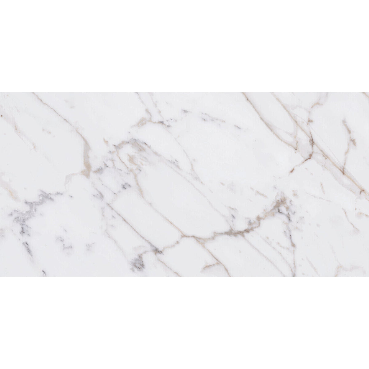 Daltile Marble Attache Lavish 12 in. x 24 in. Colorbody Porcelain Tile - Matte Golden Reverie