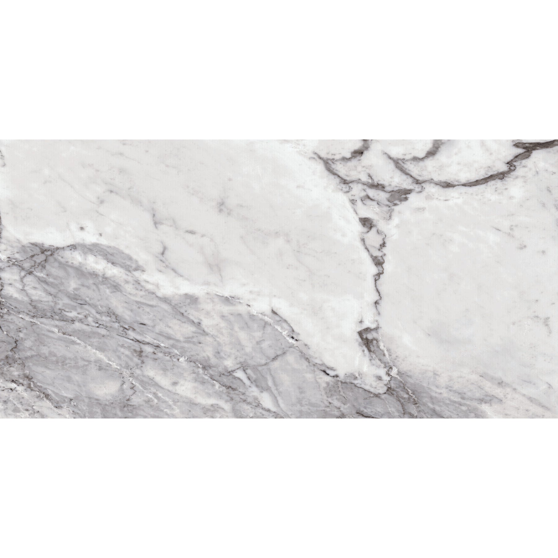 Daltile Marble Attache Lavish 24 in. x 48 in. Colorbody Porcelain Tile - Matte Pearl Arabesque