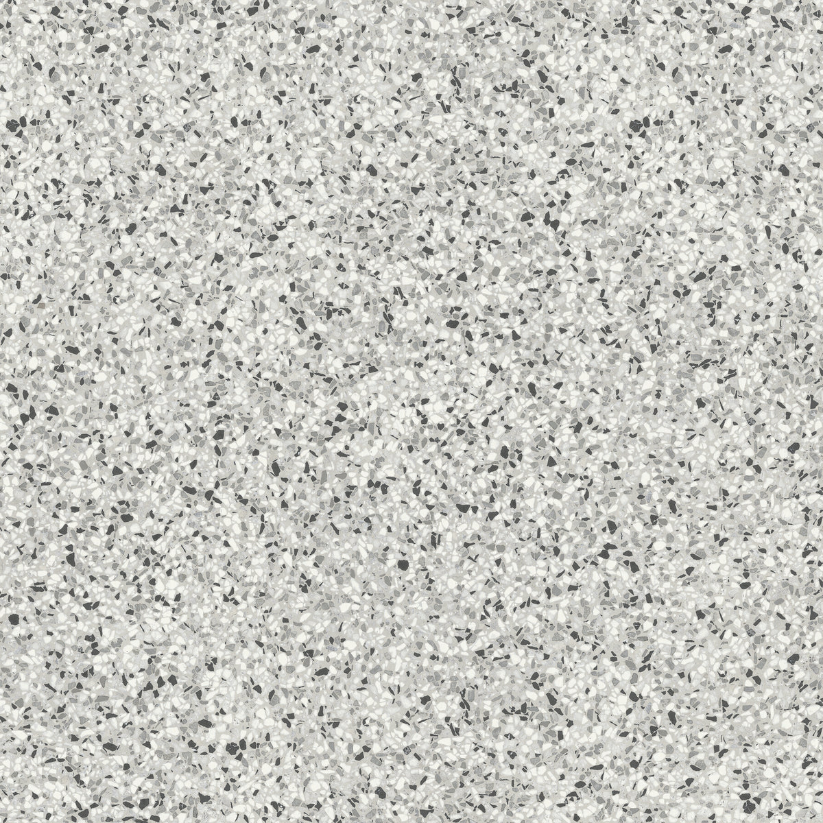 Daltile - Modernist 36 in. x 36 in. Colorbody Porcelain Tile - Pearsall Grey