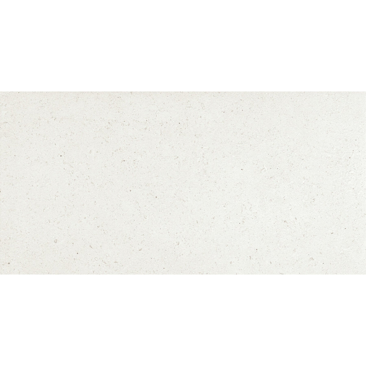 Daltile - Outlander 24 in. x 48 in. Porcelain Tile - Palazzo Marine