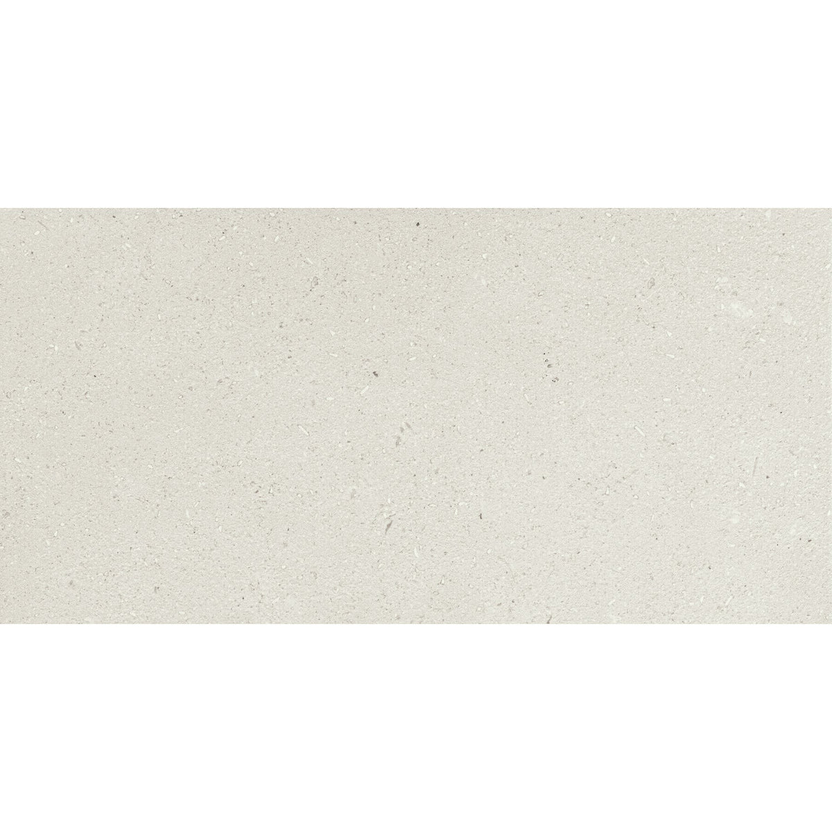 Daltile - Outlander 12 in. x 24 in. Porcelain Tile - Palazzo Moonlight